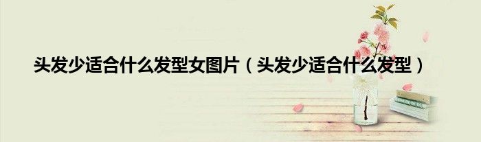 头发少适合什么发型女图片（头发少适合什么发型）