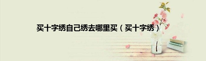 买十字绣自己绣去哪里买（买十字绣）