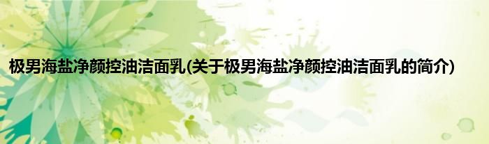 极男海盐净颜控油洁面乳(关于极男海盐净颜控油洁面乳的简介)
