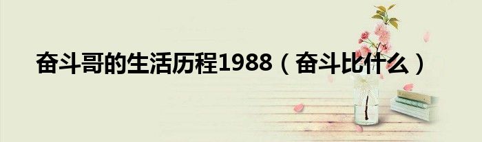 奋斗哥的生活历程1988（奋斗比什么）