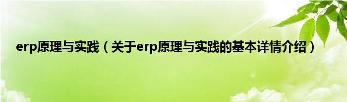 erp原理与实践（关于erp原理与实践的基本详情介绍）