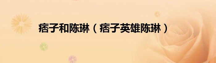 痞子和陈琳（痞子英雄陈琳）